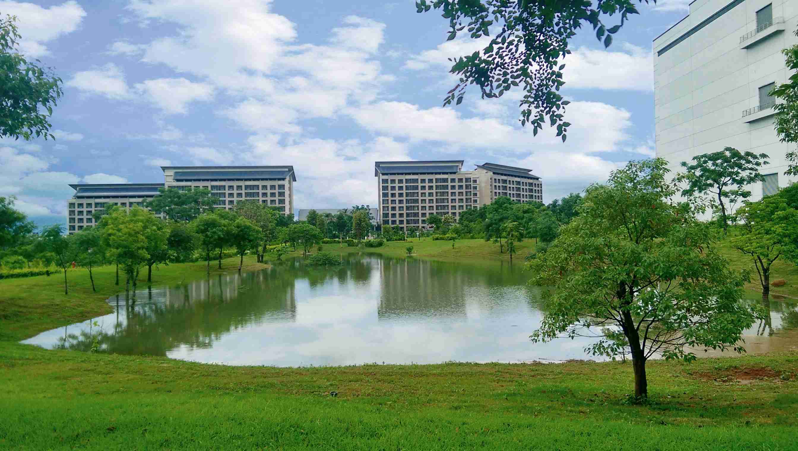 OBPay响应国际倡议生物多样性趋势，，首次发布TNFD自然相关财务揭露报告书，，，，擘划及开展OBPay生物多样性政策之承诺，，，逐步迈向与自然和谐共生